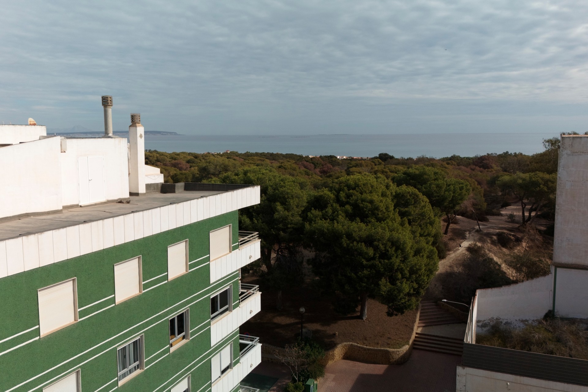 New Build - Apartment - Guardamar del Segura