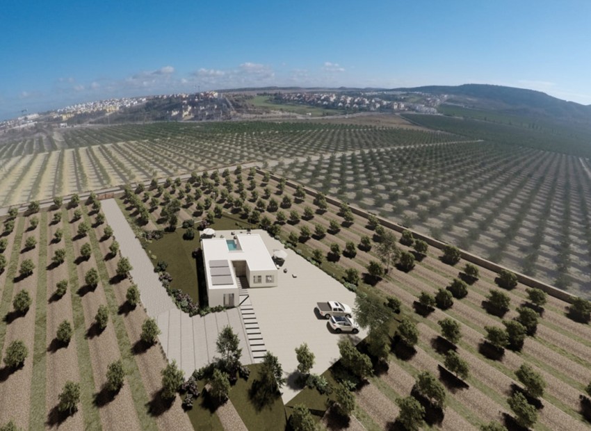 New Build - Detached - Algorfa