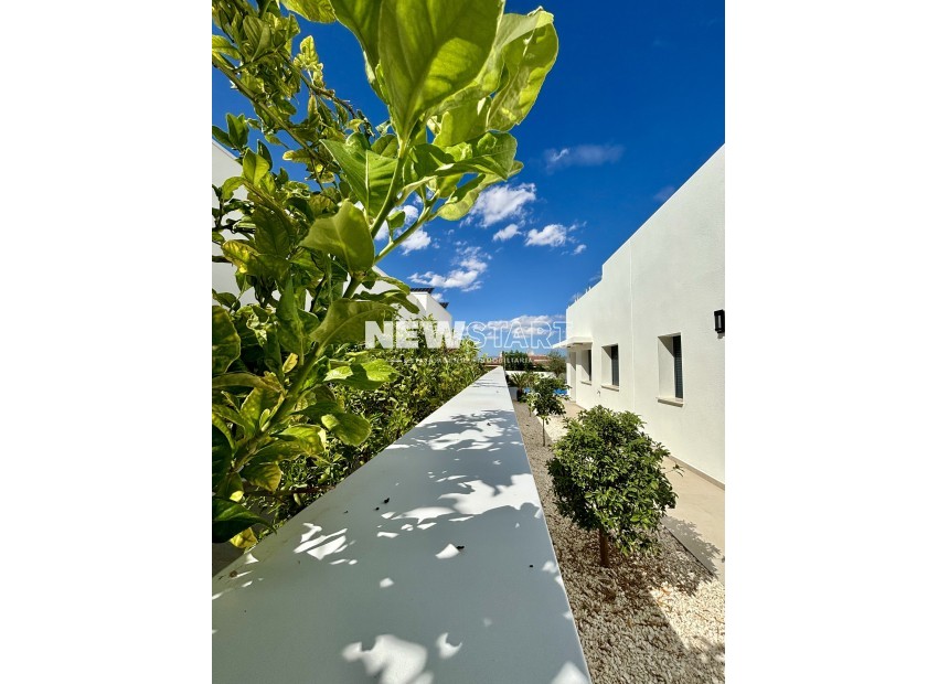 New Build - Detached - Benijofar