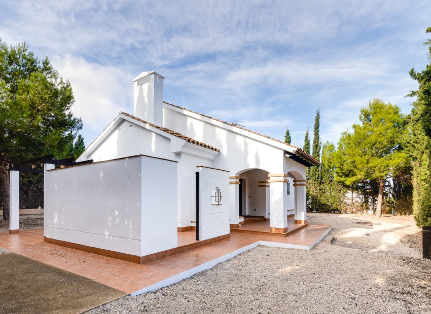 New Build - Detached - Fuente Alamo