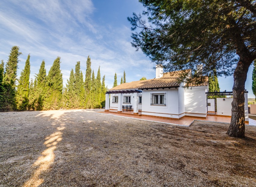 New Build - Detached - Fuente Alamo