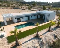 New Build - Detached - Pinoso