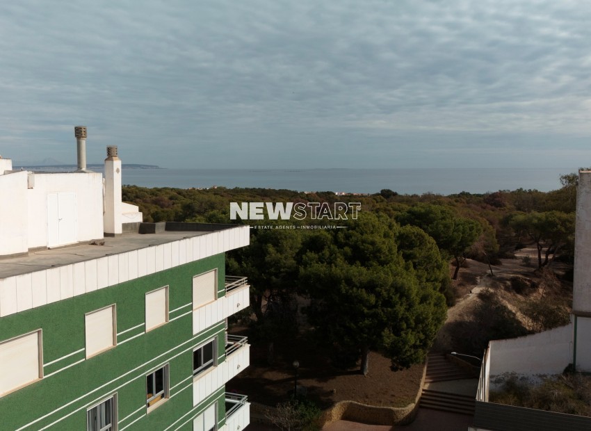New Build - Ground-Floor - Guardamar del Segura