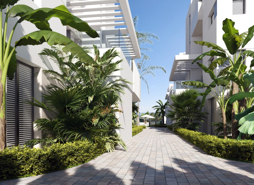 New Build - Ground-Floor - Torre-Pacheco