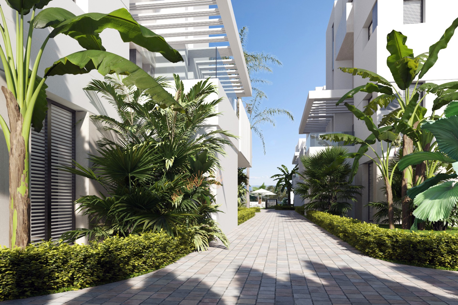 New Build - Ground-Floor - Torre-Pacheco