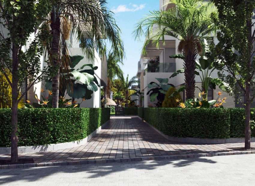 New Build - Ground-Floor - Torre-Pacheco