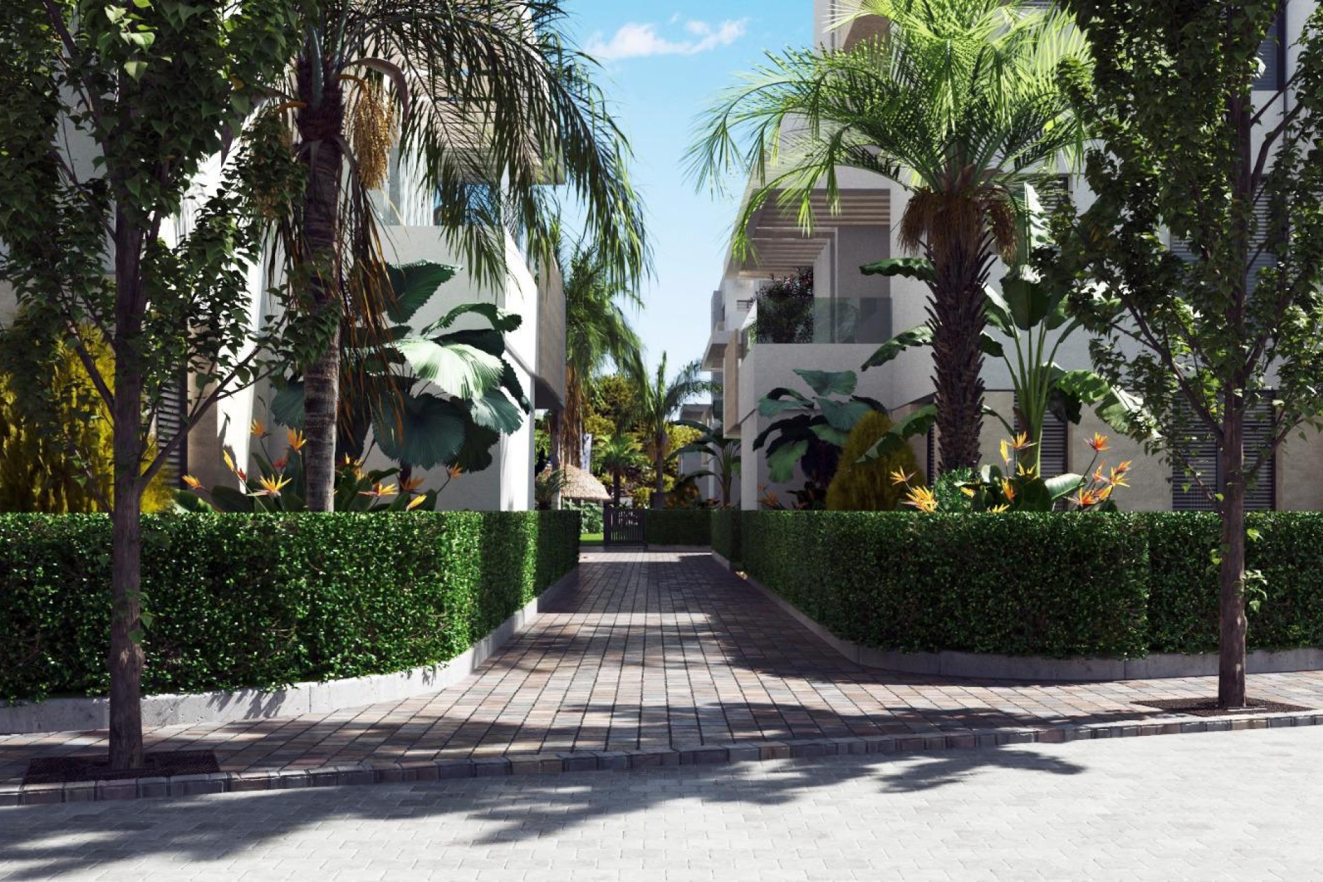 New Build - Ground-Floor - Torre-Pacheco