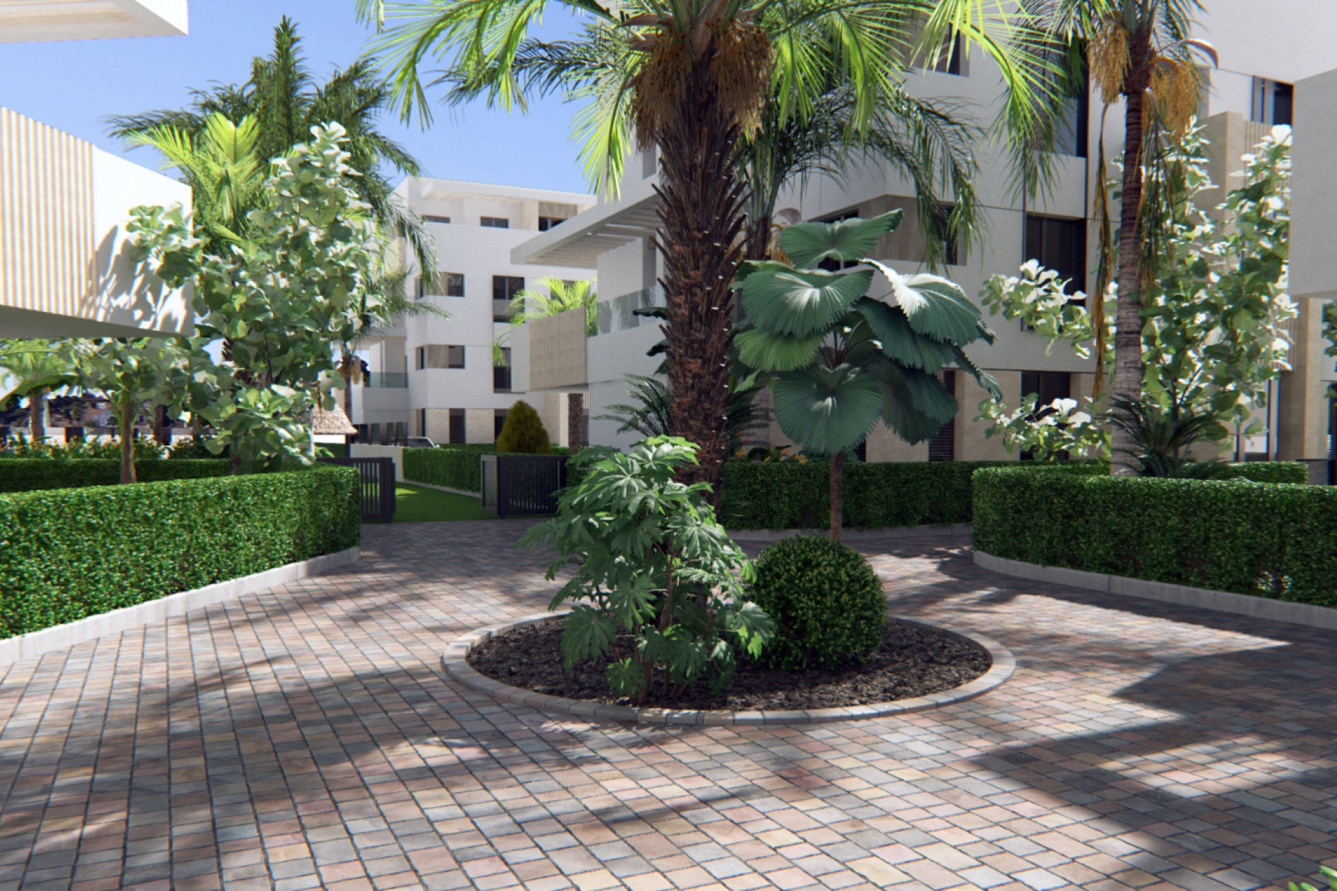 New Build - Ground-Floor - Torre-Pacheco