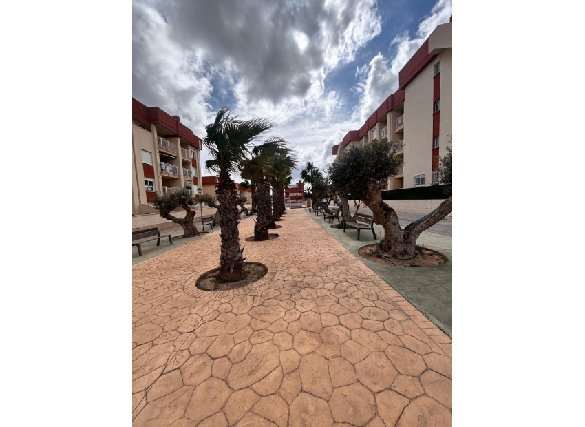 New Build - Penthouse - Orihuela