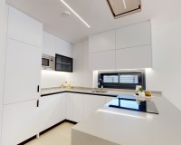 New Build - Semi-Detached - els Secans