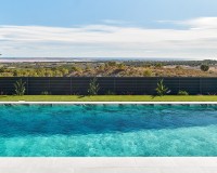 New Build - Villa - San Miguel de Salinas