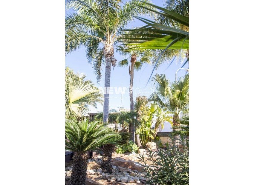 New Build - Villa - San Pedro del Pinatar