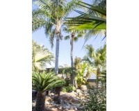 New Build - Villa - San Pedro del Pinatar