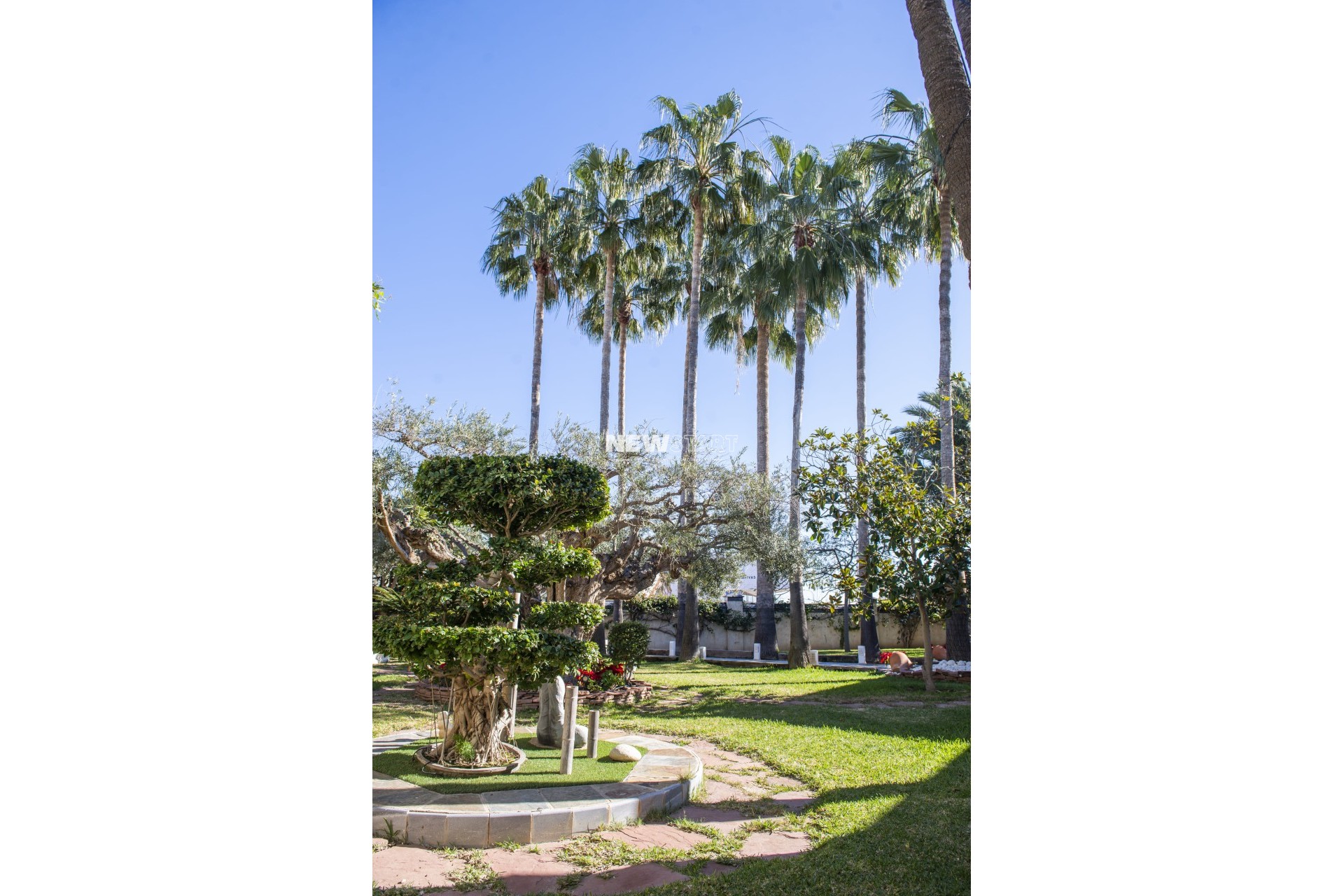 New Build - Villa - San Pedro del Pinatar