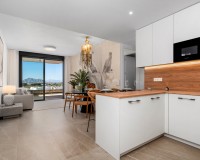Nieuwbouw Woningen - Penthouse - Benijofar