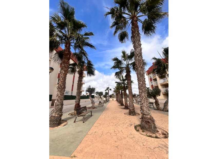 Nieuwbouw Woningen - Penthouse - Orihuela