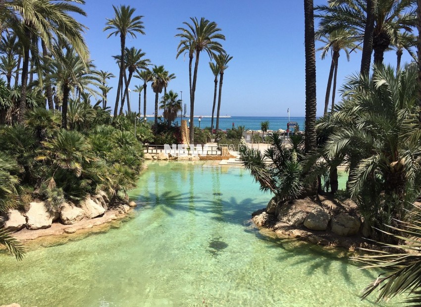 Nieuwbouw Woningen - Penthouse - Santa Pola