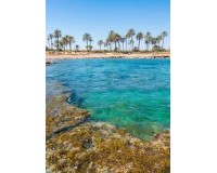 Nieuwbouw Woningen - Penthouse - Torrevieja