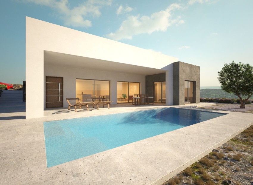 Nieuwbouw Woningen - Vrijstaand - Pinoso