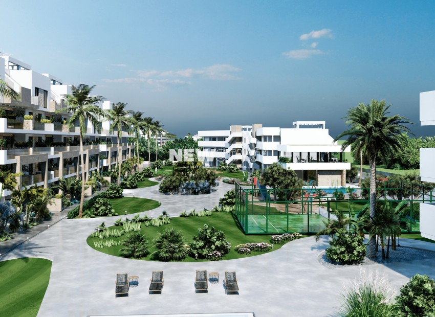 Nouvelle construction - Appartement - Guardamar del Segura