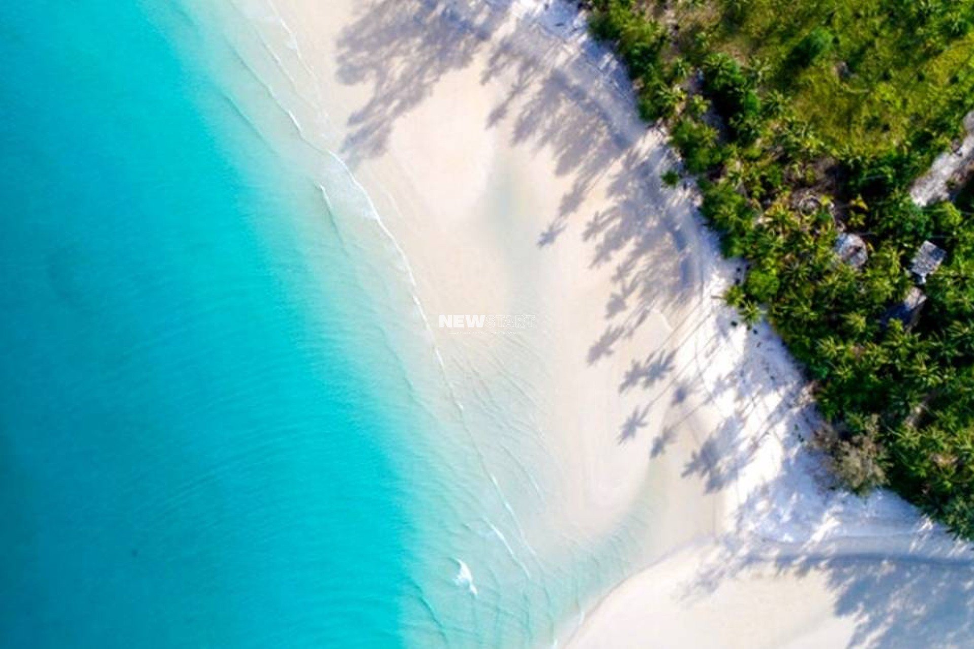 Nouvelle construction - Appartement - Santa Pola