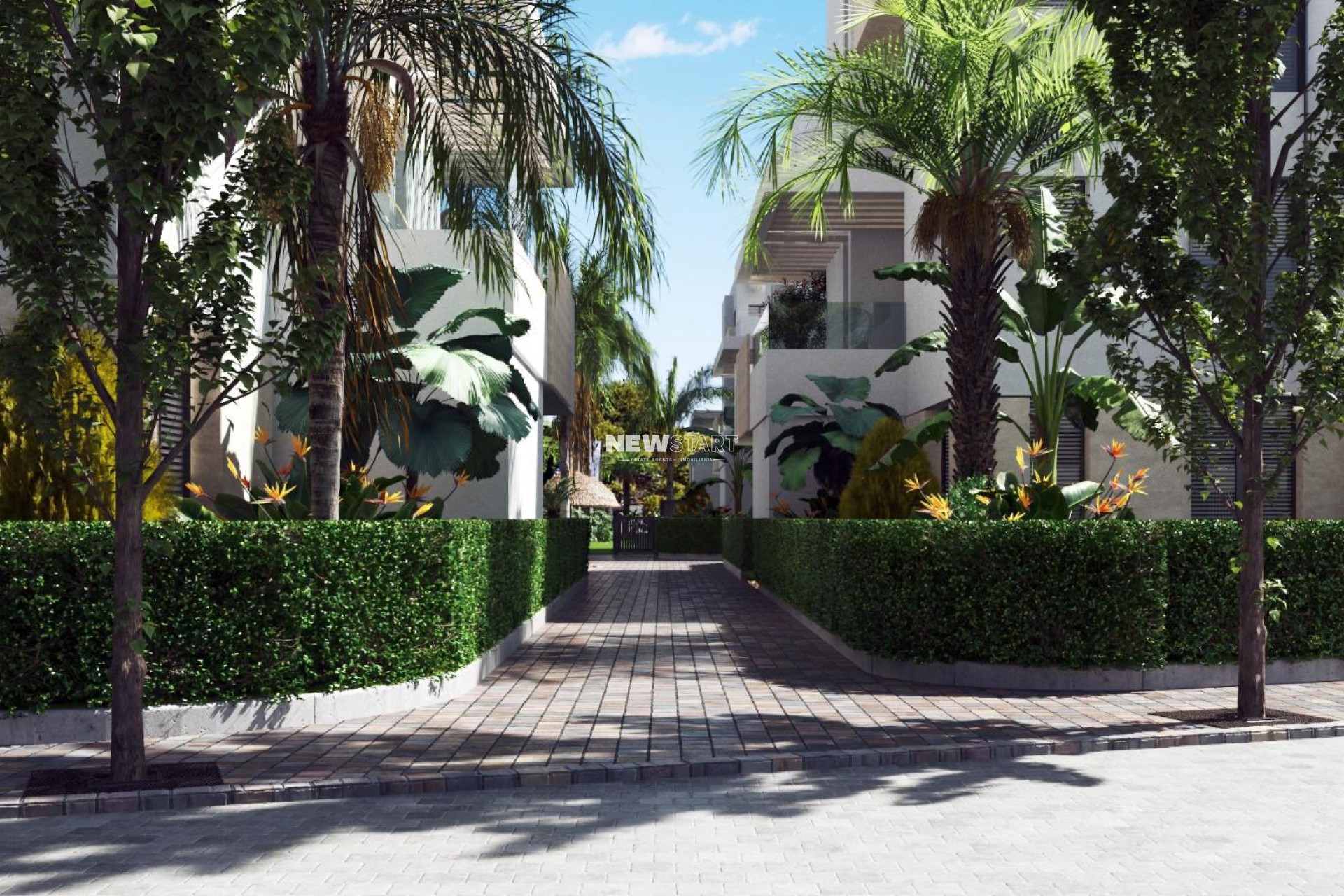 Nouvelle construction - Appartement - Torre-Pacheco