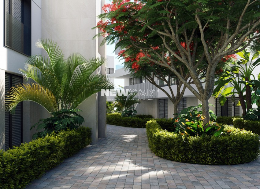 Nouvelle construction - Appartement - Torre-Pacheco