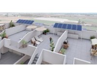 Nouvelle construction - Bungalow de plain-pied - Torre-Pacheco
