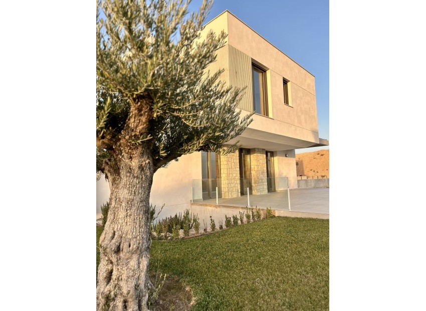 Nouvelle construction - Détaché - Finestrat