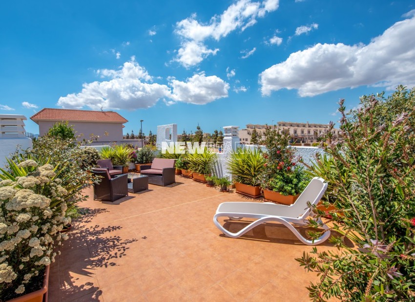 Nouvelle construction - Détaché - Los Alcázares