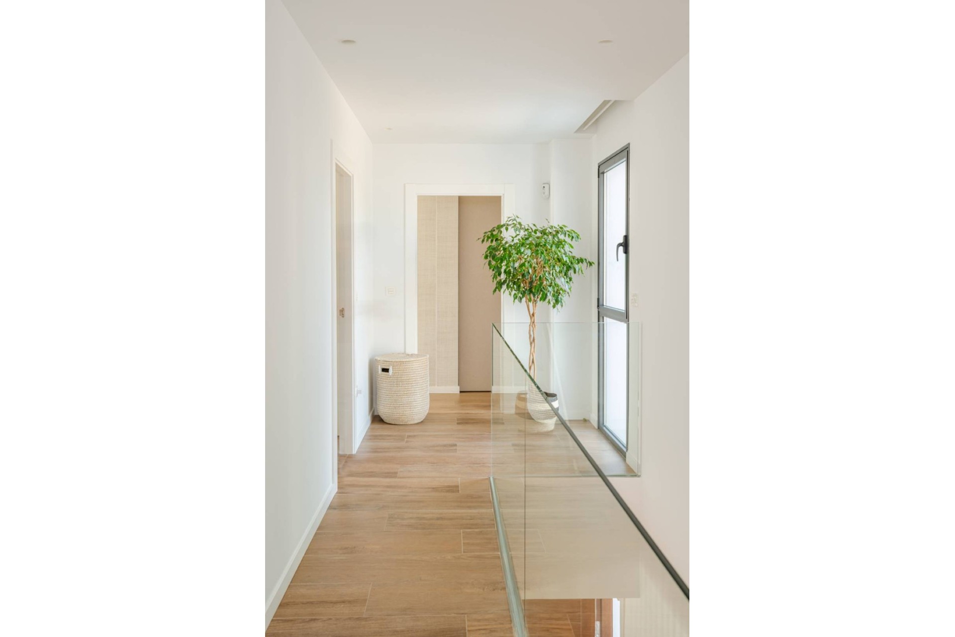 Nouvelle construction - Détaché - Molina de Segura