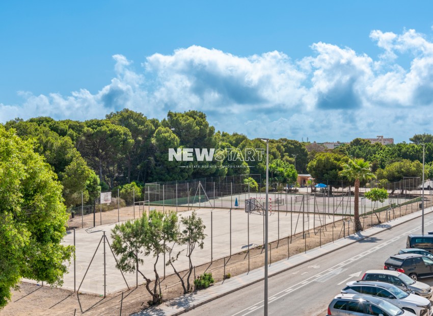 Nouvelle construction - Détaché - Pilar de la Horadada