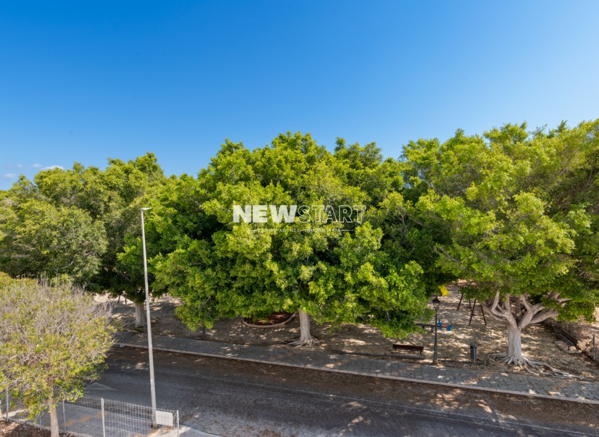 Nouvelle construction - Détaché - Pilar de la Horadada