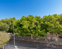 Nouvelle construction - Détaché - Pilar de la Horadada