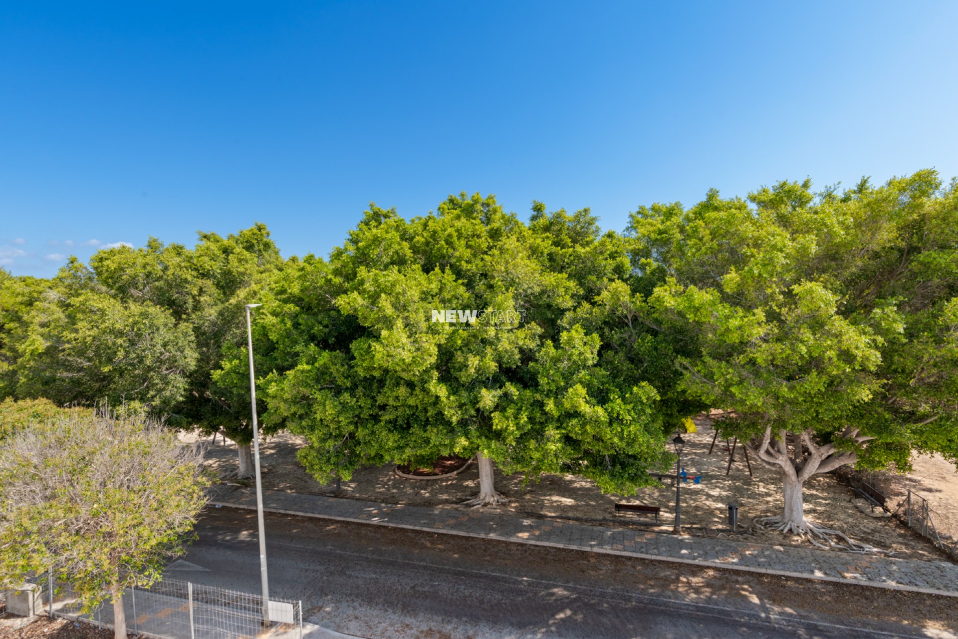 Nouvelle construction - Détaché - Pilar de la Horadada