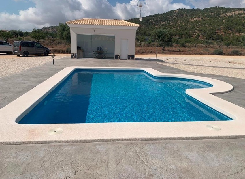 Nouvelle construction - Détaché - Prado