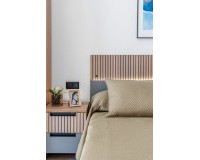 Nouvelle construction - Penthouse - Guardamar del Segura