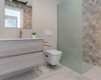 Nouvelle construction - Penthouse - Guardamar del Segura