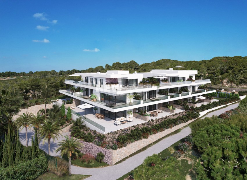 Nouvelle construction - Penthouse - Orihuela Costa