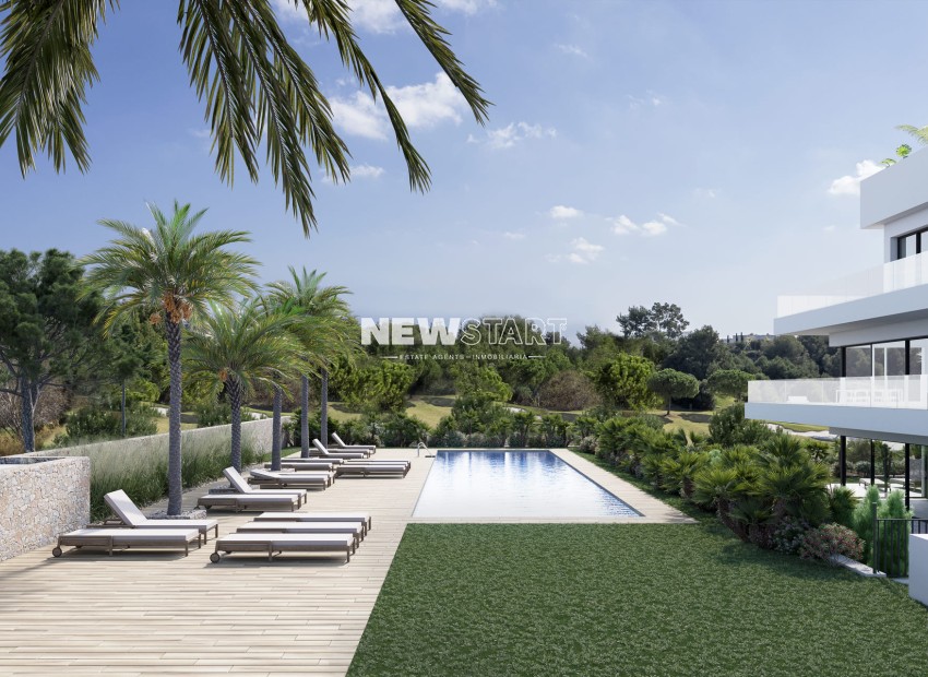 Nouvelle construction - Penthouse - Orihuela Costa