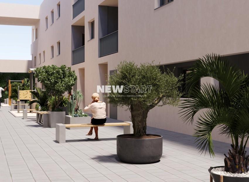 Nouvelle construction - Rez-de-chaussée - San Miguel de Salinas