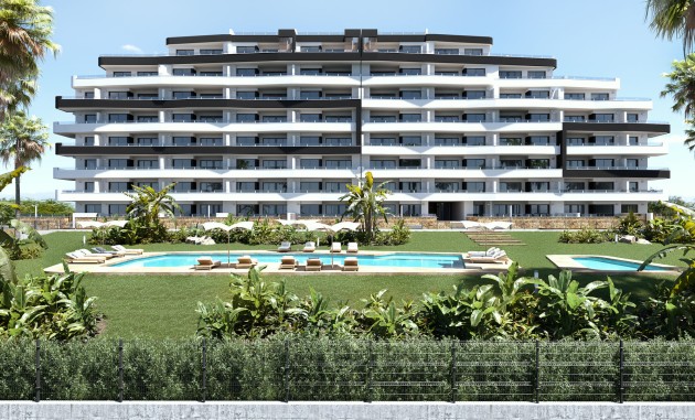  - Nouvelle construction - San Miguel de Salinas - NBH-53101