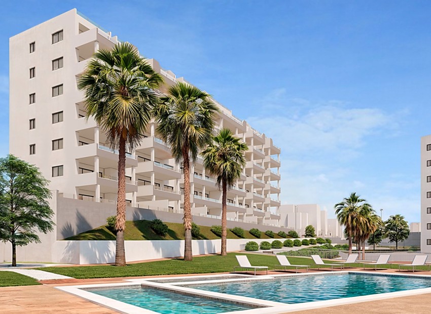 Nouvelle construction -  - San Miguel de Salinas