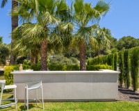 Nouvelle construction - Villa - Dehesa de Campoamor