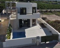 Nouvelle construction - Villa individuelle - Daya Nueva