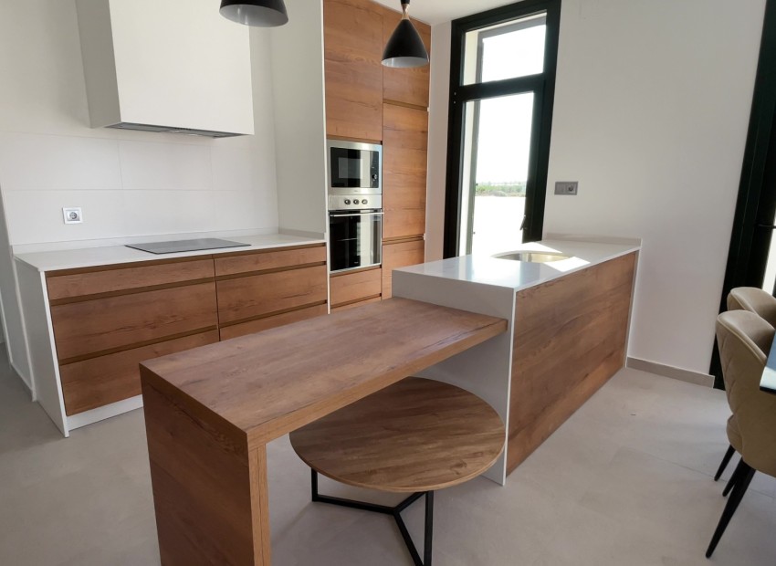 Nouvelle construction - Villa individuelle - Daya Nueva