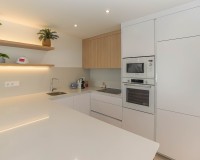 Nouvelle construction - Villa individuelle - San Fulgencio