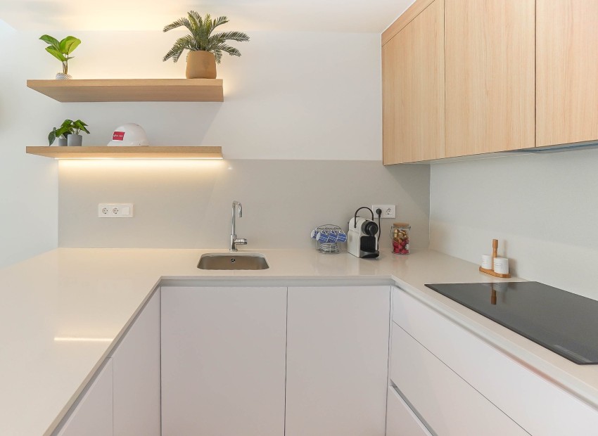 Nouvelle construction - Villa individuelle - San Fulgencio