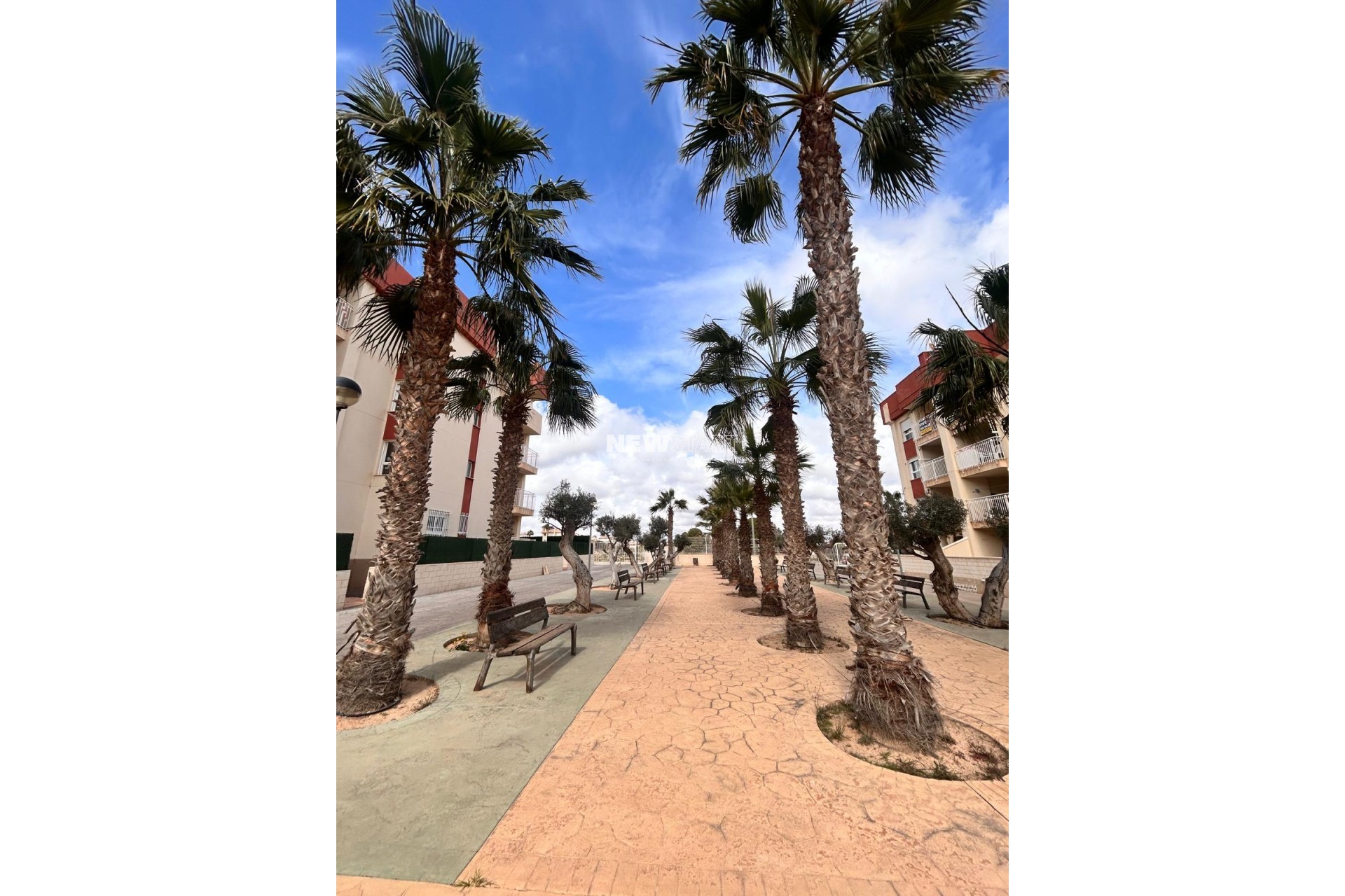 Nybyggnation - Bottenvåning - Orihuela Costa