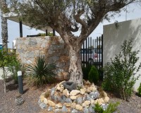 Nybyggnation - Högt bungalow - Torrevieja